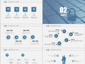 网络与信息安全软件开发 互联网时代的守护者