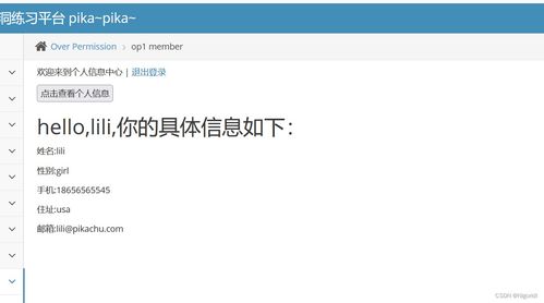 网络安全第八天深度解析 从文件上传漏洞到PHP反序列化攻防